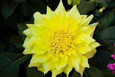 借国产游戏发布非理性言论引战！微博：138个账号被禁言